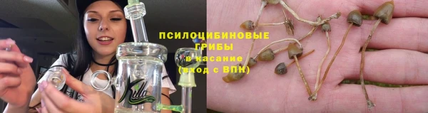 молекула духа Пересвет