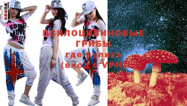 твердый Покачи