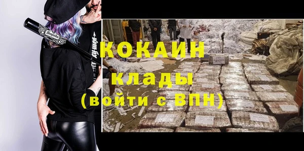 шишки Покровск
