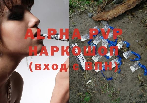 твердый Покачи