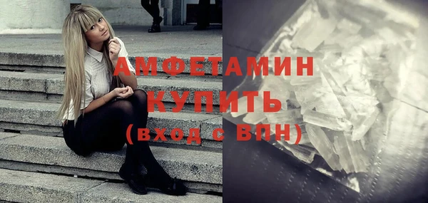 молекула духа Пересвет