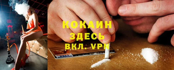 твердый Покачи