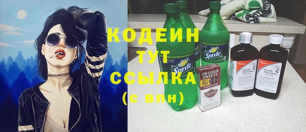 молекула духа Пересвет