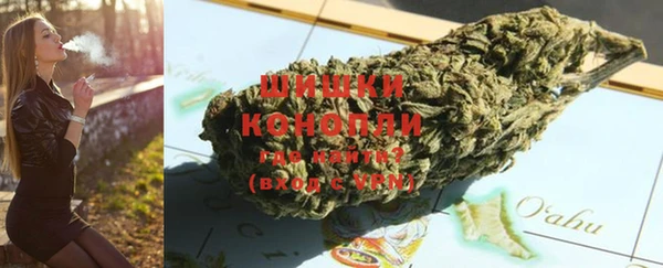 молекула духа Пересвет