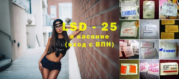 молекула духа Пересвет