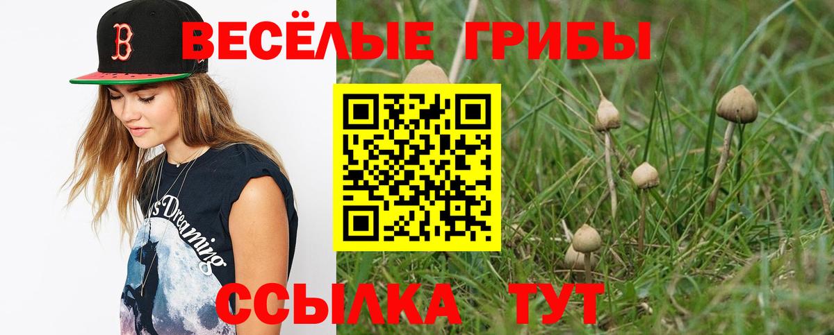 что такое   Псилоцибиновые грибы MAGIC MUSHROOMS  Стрежевой  Вход с VPN  Псилоцибиновые грибы мухоморы 